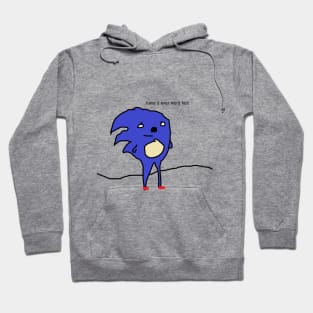 sanic hegehog meme [Sonic Parody] Hoodie